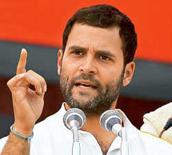 Cow, Slaughtering, Congress, Workers, Suspend, Rahul Gandhi