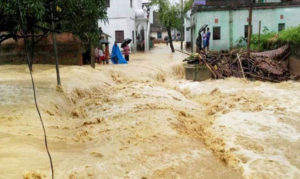 Bihar, Killed, Floods, Danger, Influenced, CM, Nitish Kumar