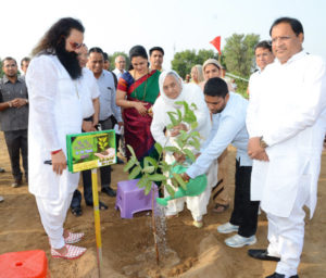 Mega Tree Plantation, Gurmeet Ram Rahim, Dera Sacha Sauda, Environment