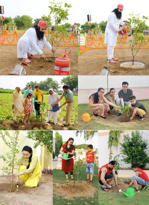 Incarnation Day celebrated by planting trees