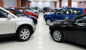 Passenger vehicle sales up 13 percent
