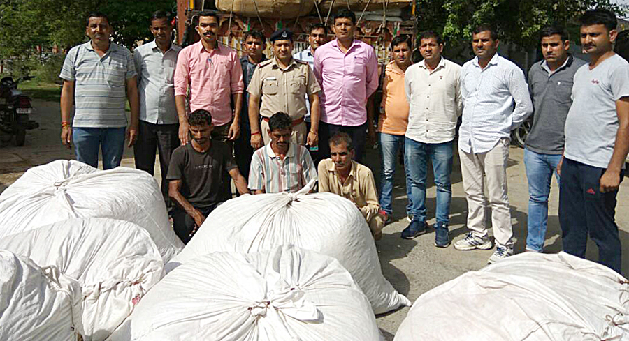 Accused, Arrested, Including, Truck, Drugs, Haryana