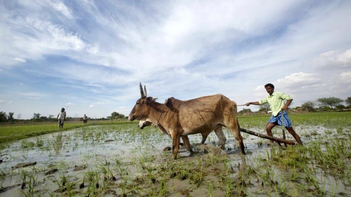 Realities, Agriculture, Farmer, Govt, India