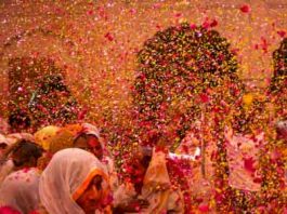 Holi with Flowers