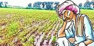 Double hit on farmers crop money not even received, loss of interest of 50 lakhs suffered daily