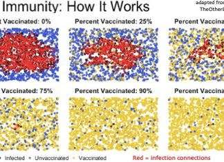 Herd Immunity