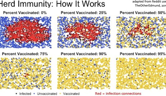 Herd Immunity