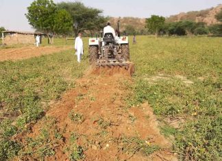 Tomato growers warning