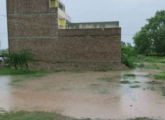 Rain in Haryana