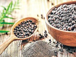 Kali Mirch Ke Fayde: सेहत के लिए बेहद गुणकारी और लाभकारी है कालीमिर्च kali mirch ke fayde in hindi - Sach Kahoon