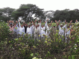 Officials prepared report of crop failure without reaching the fields, farmers expressed anger