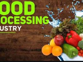 Food Processing Industry