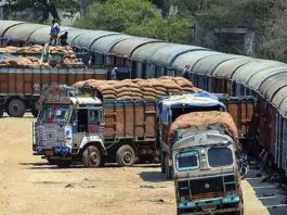 Transportation of Vegetables