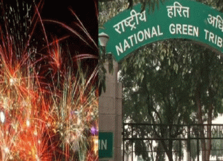 NGT bans burning of firecrackers in Delhi-NCR