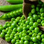 Disease Resistant Peas