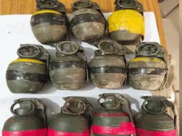 11 hand grenades recovered from Pak drone near the border