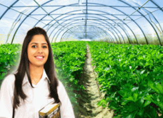 Institute of Business Management and Agriprenurship will open in Gurugram