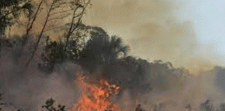 Mizoram's wild fire moves towards cities