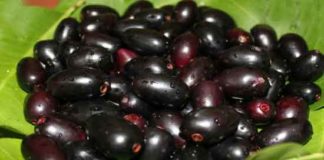 Jamun-Export