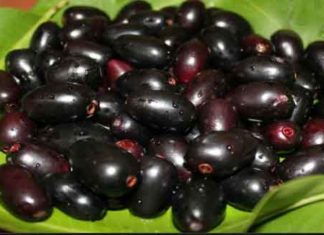 Jamun-Export