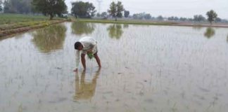 pre-monsoon-rain sachkahoon