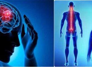 Brain tumor and spinal cord injuries sachkahoon