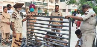 Cleanliness Drive by Dera Sacha Sauda|