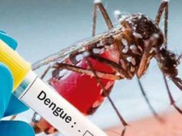 Dengue in Delhi