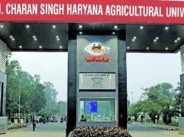 Ch. Charan Singh Haryana Agricultural University sachkahoon