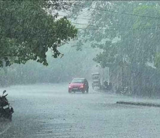 Rain in Rajasthan sachkahoon