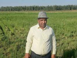 Medicinal Farming, Dr. VP Singh sachkahoon