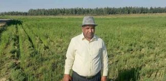 Medicinal Farming, Dr. VP Singh sachkahoon