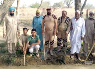 Tree Plantation