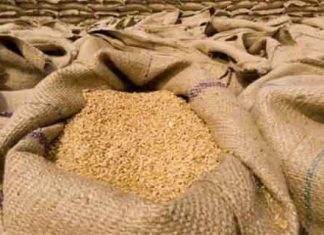 Wheat Exports sachkahoon