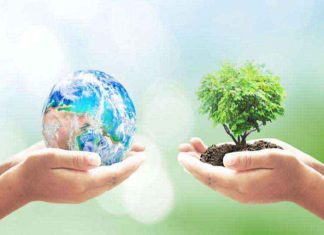 Earth and Environment sachkahoon