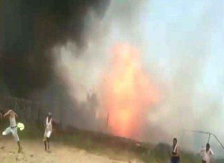 Fire In The Cowshed sachkahoon