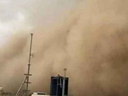 Sand Storm sachkahoon