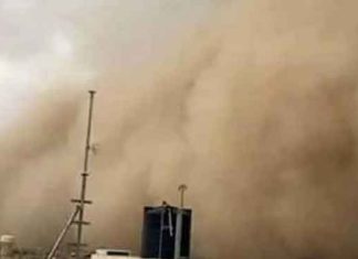 Sand Storm sachkahoon