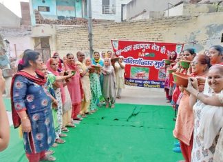 tree plantation and cleanliness campaign sachkahoon