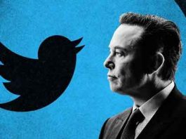 Twitter, Elon Musk