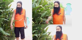 Saint Dr. MSG Insan