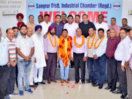 Sangrur District Industry