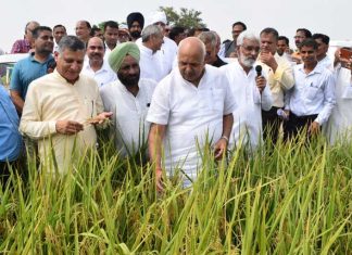 Natural Farming