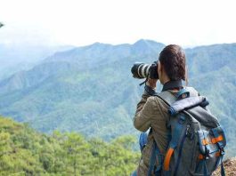 Career in Forestry