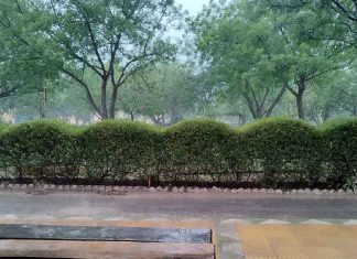 Haryana Ka Mausam