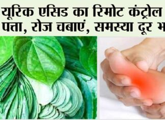 Betel Leaf Benefits