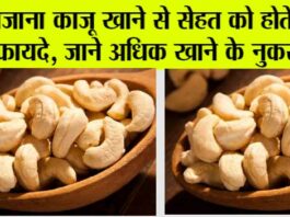 Cashew Nuts