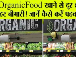 Organic Food