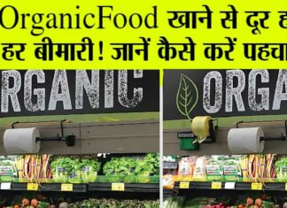 Organic Food