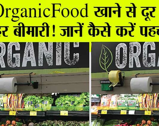 Organic Food